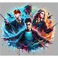 Harry Potter-HP 61